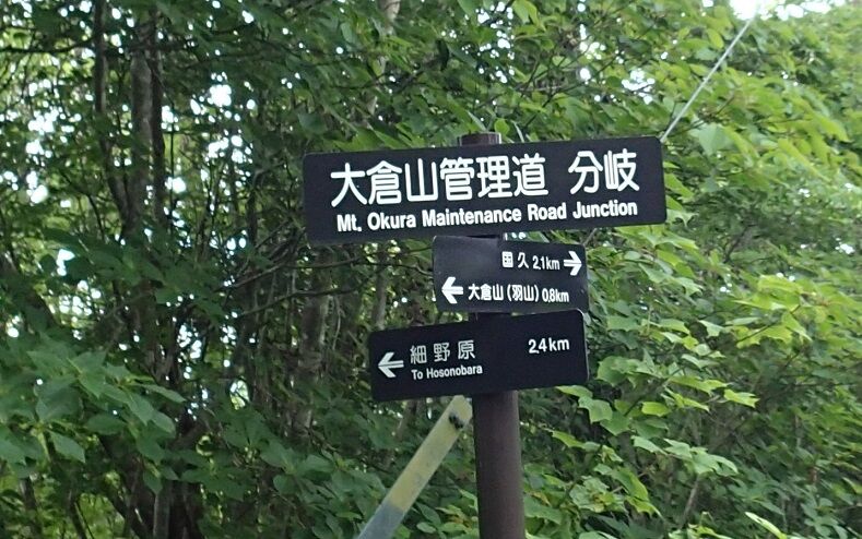 P6040023 - コピー