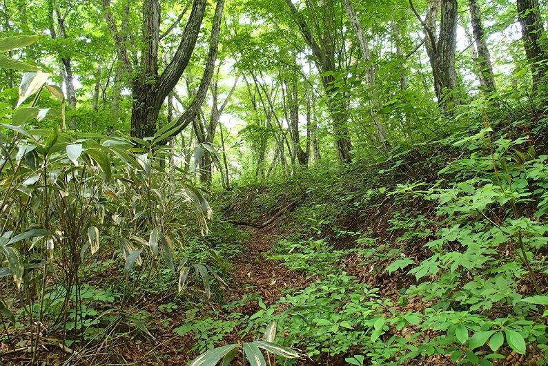 P6030041 - コピー