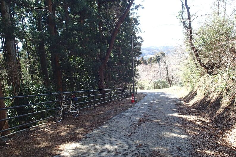 P3200045 - コピー