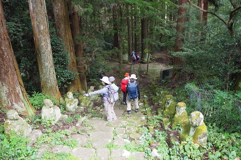 PA210092 - コピー