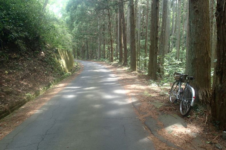 馬場11