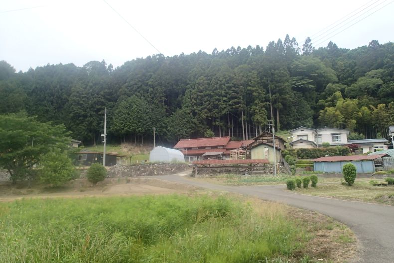 馬場7