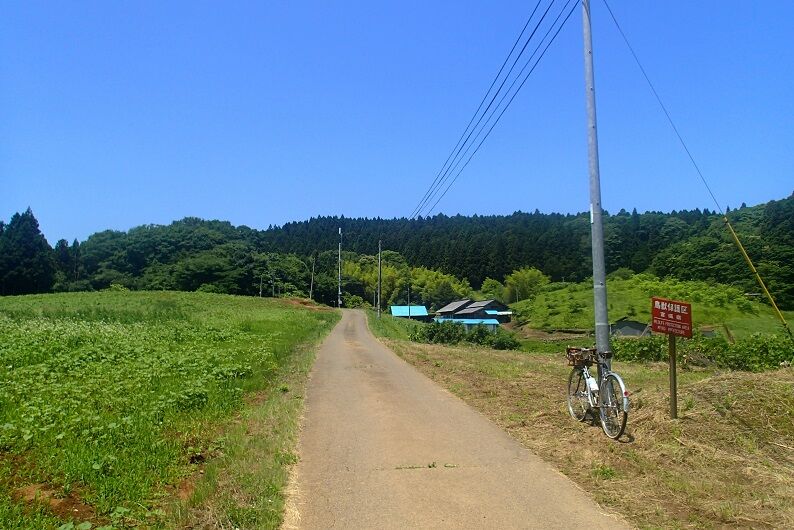 P6170089 - コピー