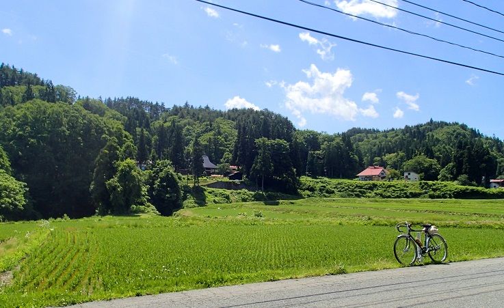 P6260059 - コピー