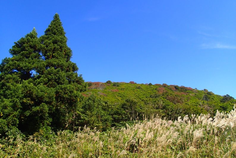 8,吹越
