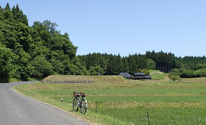 P6130032 - コピー