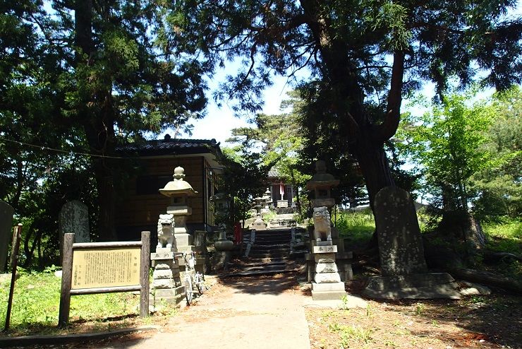 P5260019 - コピー