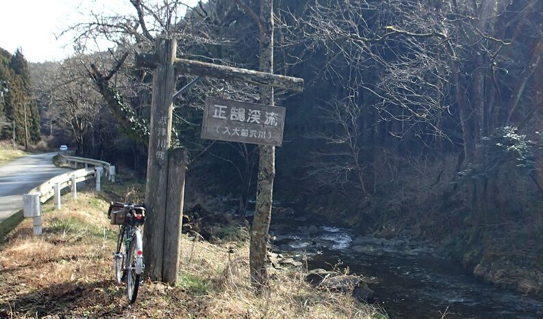 P3310030 - コピー