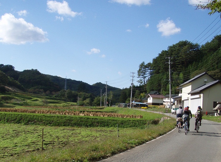 39687f0c.jpg