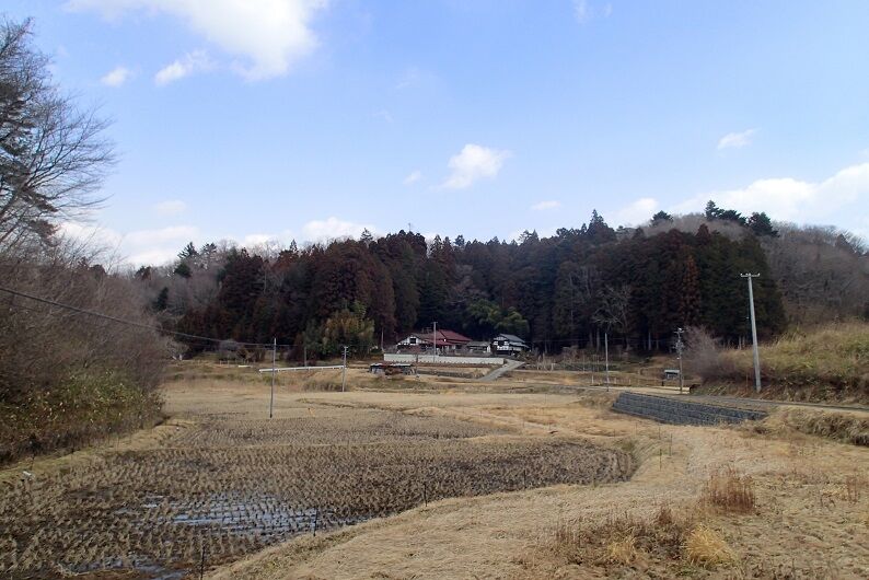 P3140066 - コピー