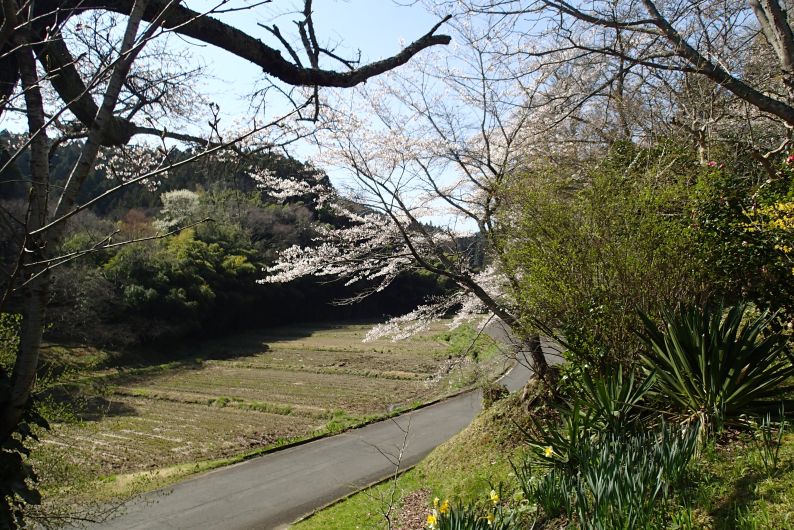平５
