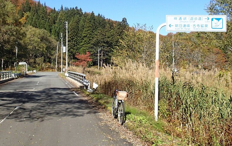 PA260049 - コピー