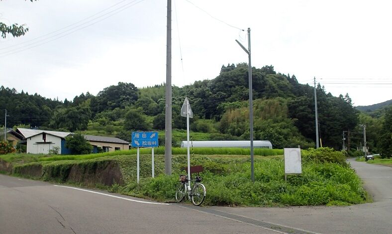 P7200005 - コピー