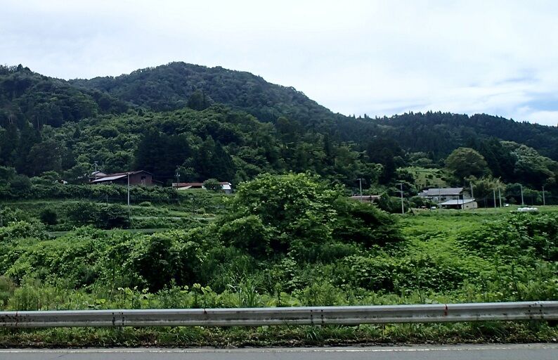 P7200020 - コピー