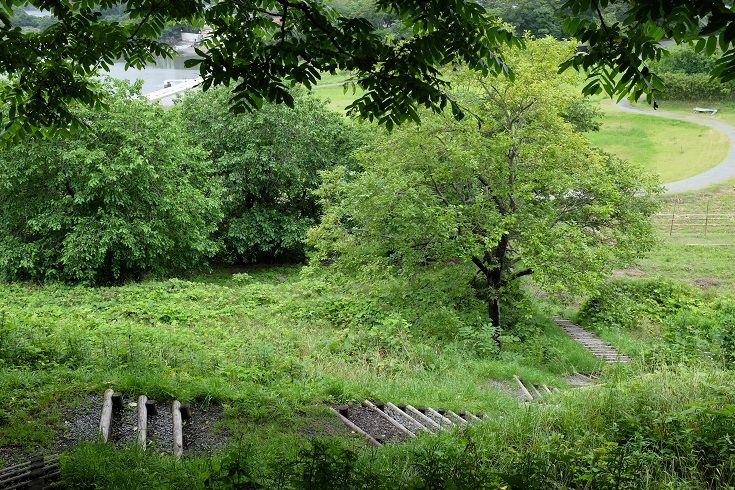 DSCF8326 - コピー