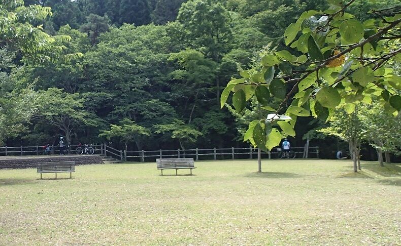 P7190028 - コピー