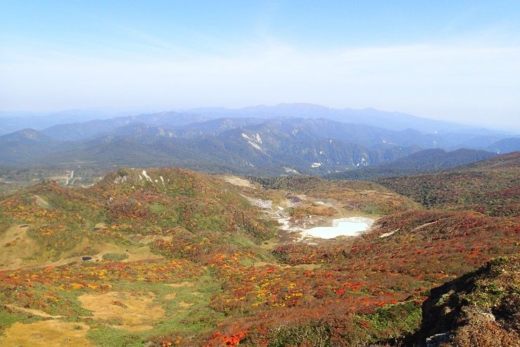 PA020046 - コピー