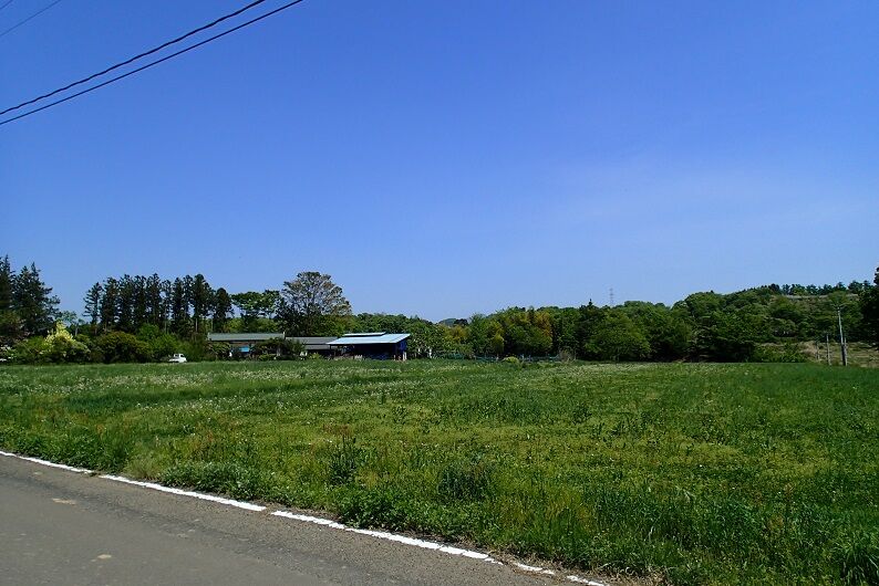 P5040013 - コピー
