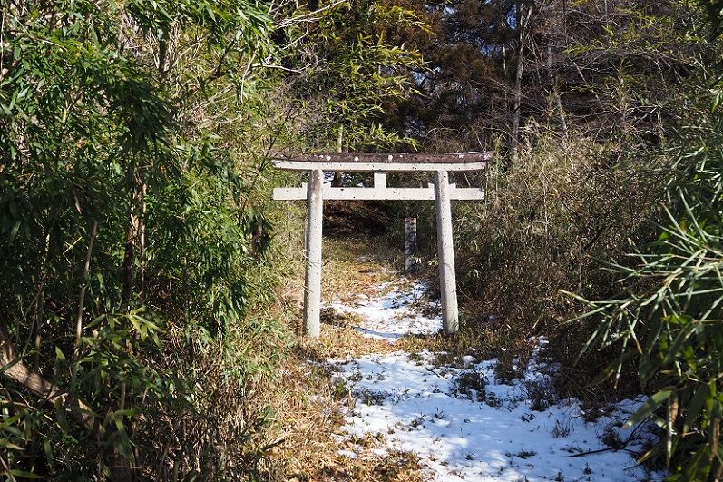 P2180004 - コピー
