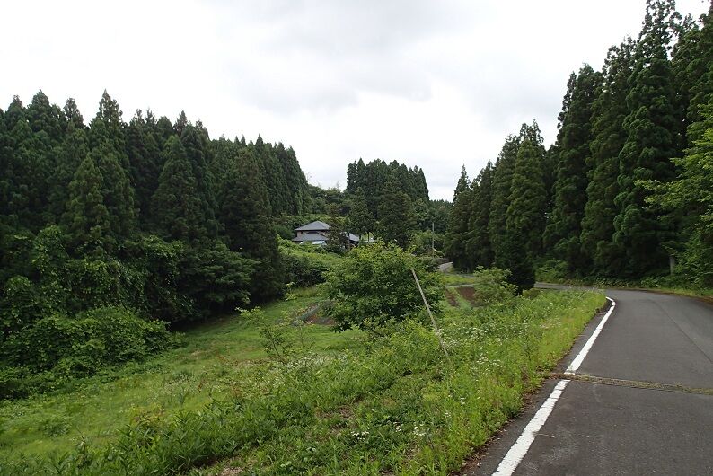 P7110037 - コピー