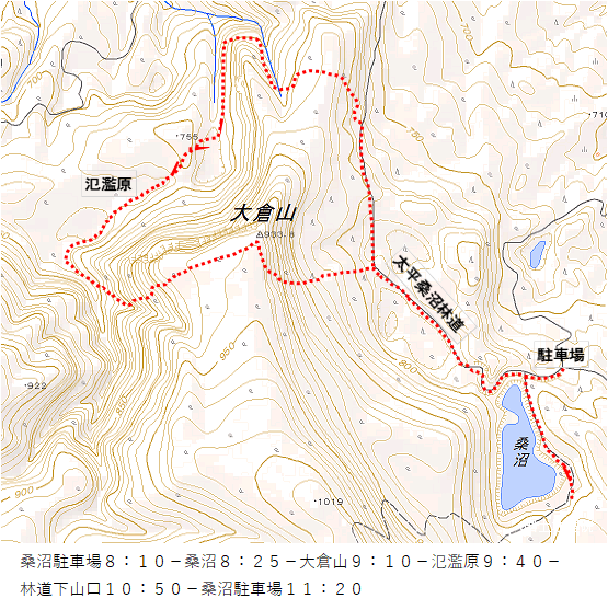 氾濫原