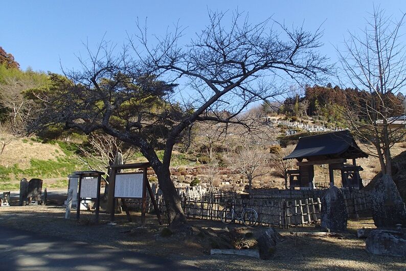 P3050022 - コピー