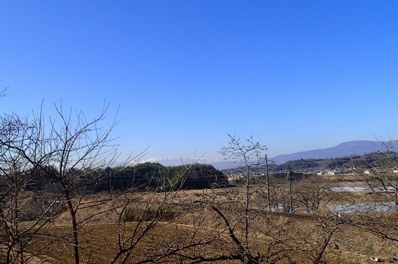 P2180015 - コピー