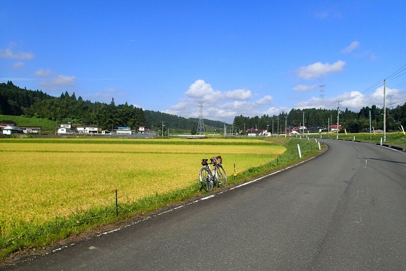 P9110013 - コピー