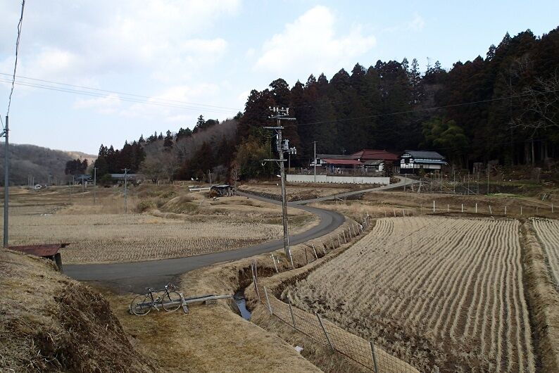 P3140073 - コピー