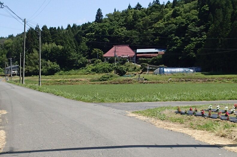P6130007 - コピー
