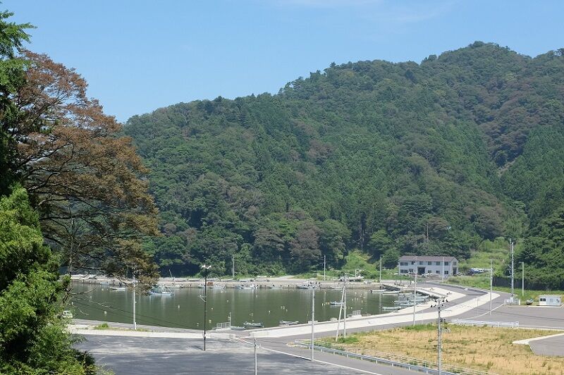 DSCF2037 - コピー