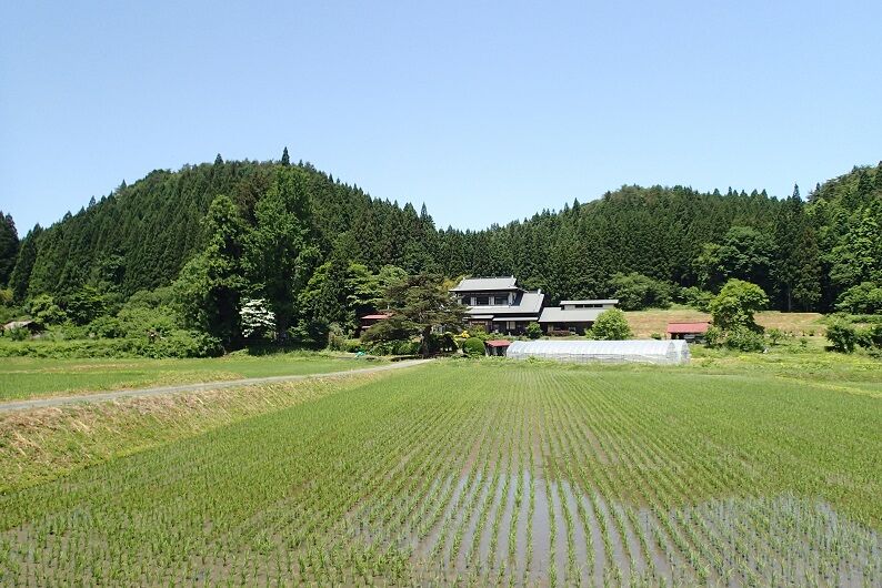 P6130055 - コピー