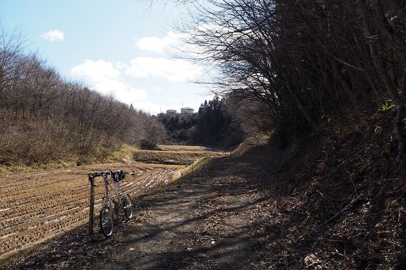 P3030006 - コピー