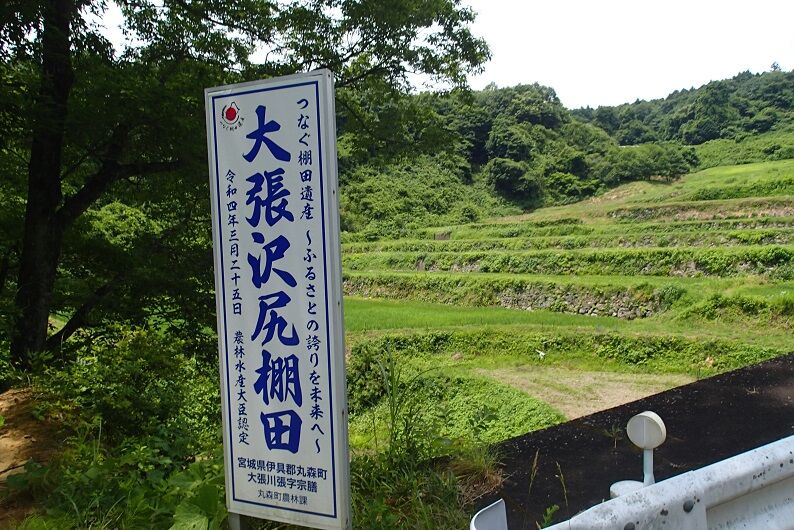 P6210040 - コピー