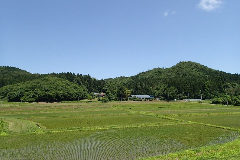 P6130040 - コピー