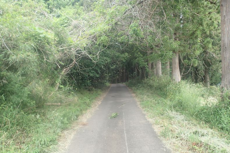 馬場14