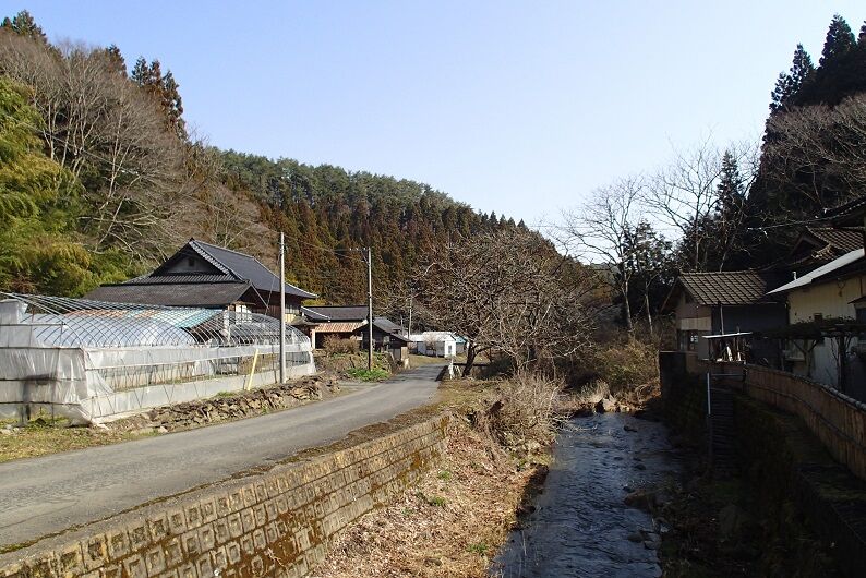 P3310026 - コピー