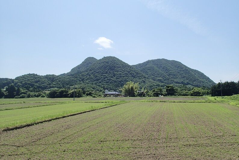 P6290022 - コピー