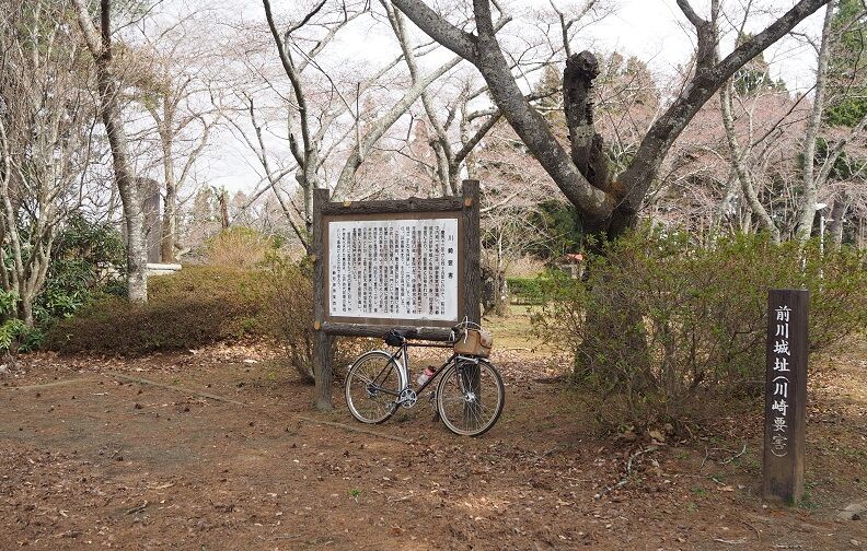P3300025 - コピー