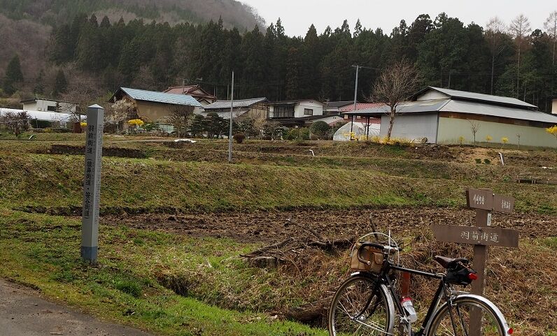 P3300031 - コピー
