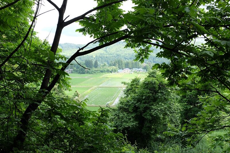 DSCF1575 - コピー