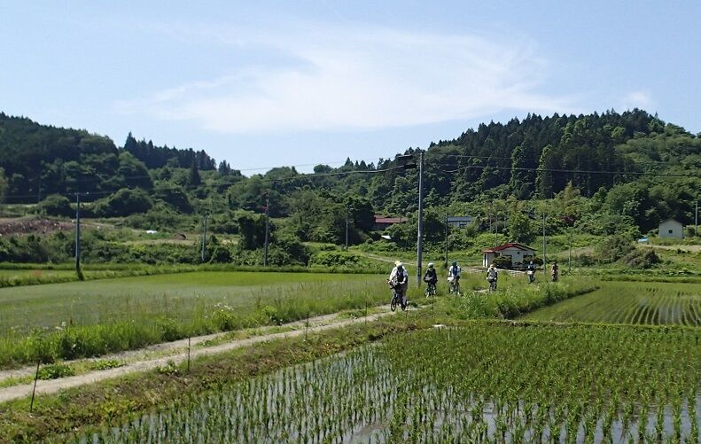 P6070054 - コピー