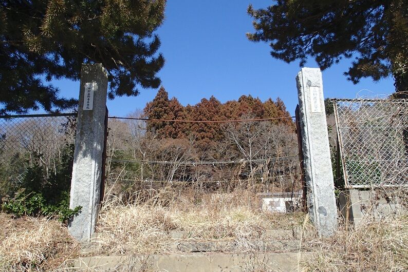 P3050033 - コピー