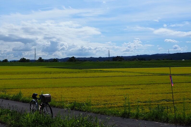 P9100011 - コピー
