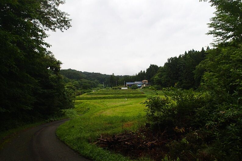 P7110025 - コピー