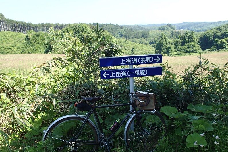 P6070012 - コピー
