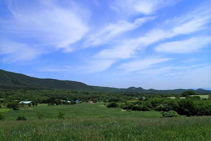 P6020121 - コピー