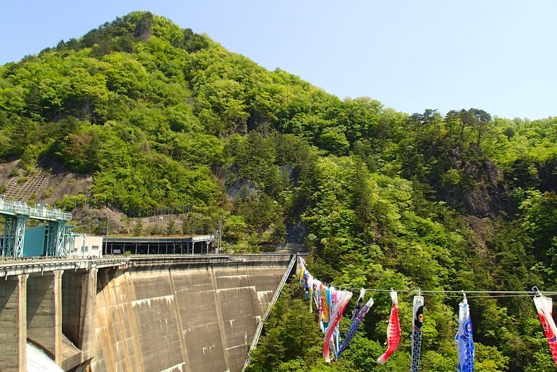 P5040046 - コピー