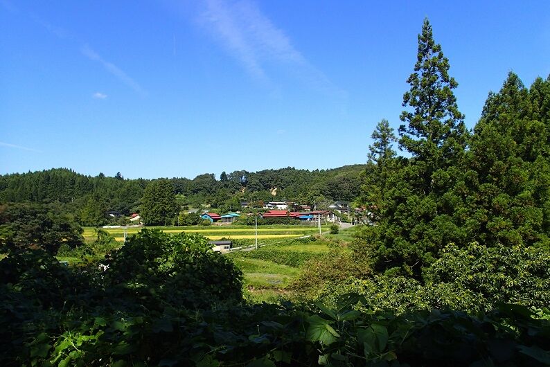 P9140047 - コピー