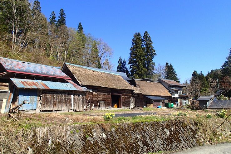 P4290101 - コピー